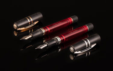 Visconti Homo Sapiens - Pen Venture 1 year anniversary limited edition fountain pen