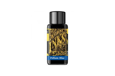 Diamine Guitar Theme - Pelham Blue | Bottled Ink 30 ml