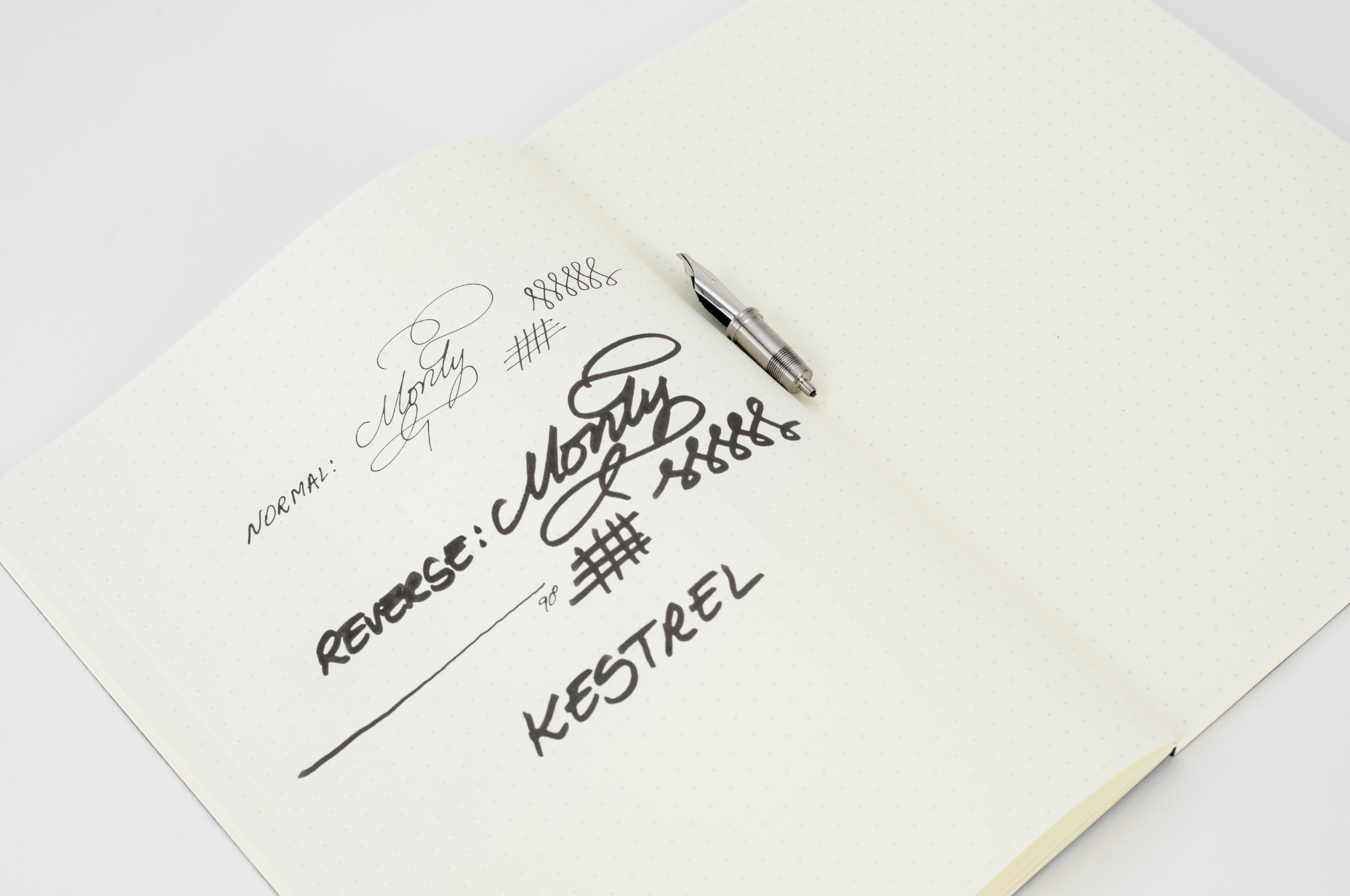 Kestrel - Custom stacked steel nib unit by Monty Winfield