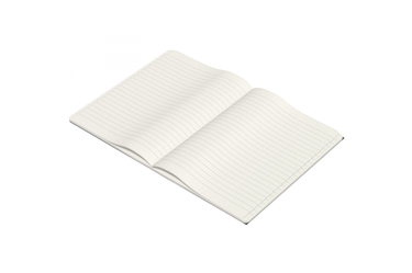 Clairefontaine -  Flying Spirit Ivory Lined Notebook | 96 pages - Black