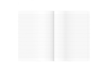Clairefontaine -  Triomphe A4 White Lined Notebook | 96 pages - White Gold