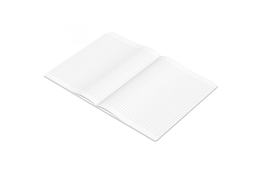 Clairefontaine -  Triomphe A4 White Lined Notebook | 96 pages - White Gold
