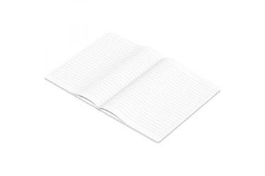 Clairefontaine -  Triomphe A5 White Lined Notebook | 96 pages - White Gold