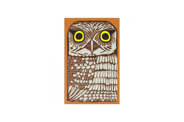 Retro 51 - Classic A5 Notebook Owl Rescue | Dot Grid 144 pages