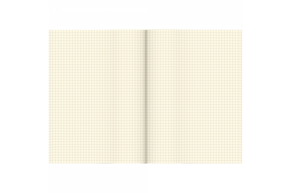 Tsubame - Section A5 | Cream Grid Notebook | 64 pages