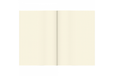 Tsubame - Section B5 | Cream Grid Notebook | 64 pages