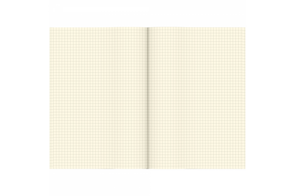 Tsubame - Section B5 | Cream Grid Notebook | 64 pages