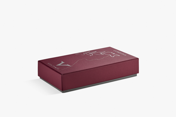 Visconti - Divine Comedy - Caronte