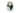Sailor - Shikiori Summer Rikyu Cha Green 20ml
