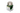 Sailor - Shikiori Spring Waka Uguisu Green 20ml